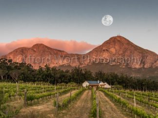 Moon rising over mountains and vineyard